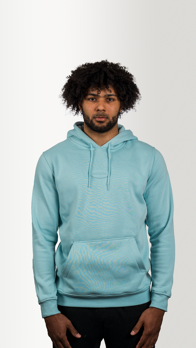 Mint blue best sale hoodie