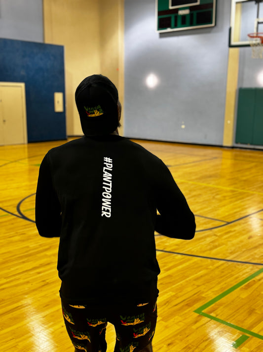 VV PERFORMANCE LS